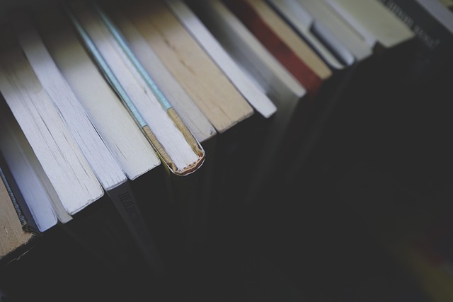 Książki w erze cyfrowej: Czy tradycyjna literatura ma jeszcze przyszłość?